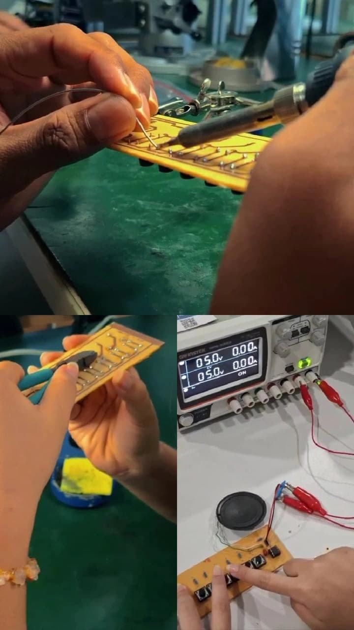 Pamer.in | Electronics Module Assembly for Musical Instrument Oktaf 1